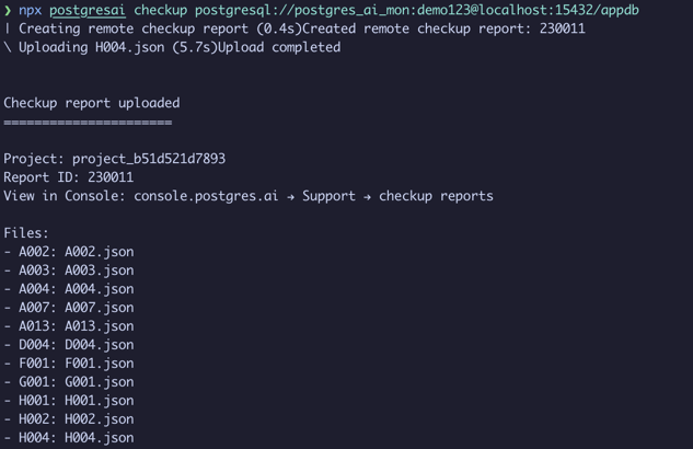 Checkup terminal output